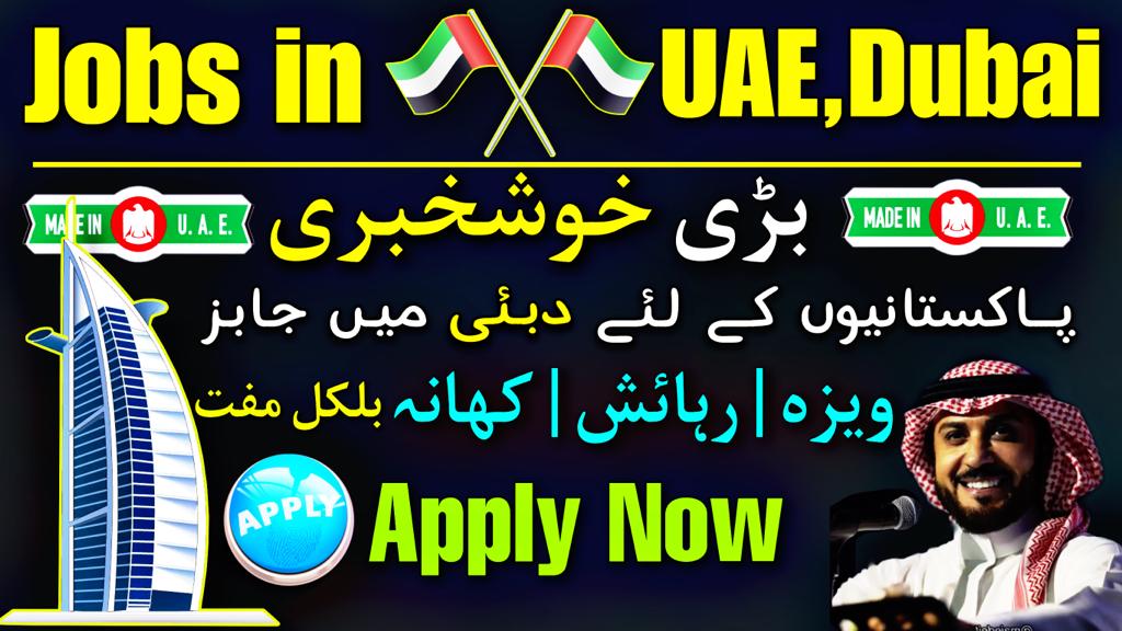 PriceHai Dubai Latest Jobs in 2023